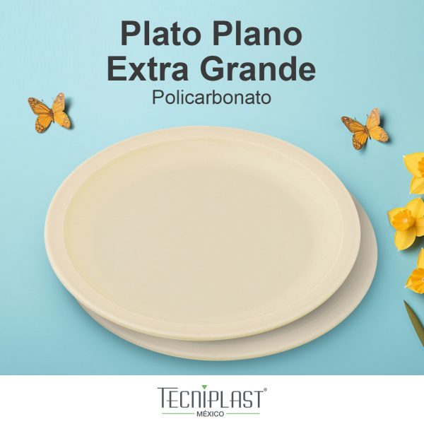Plato plano extra gande de policarbonato, plato plano de plástico 1801 foto 1