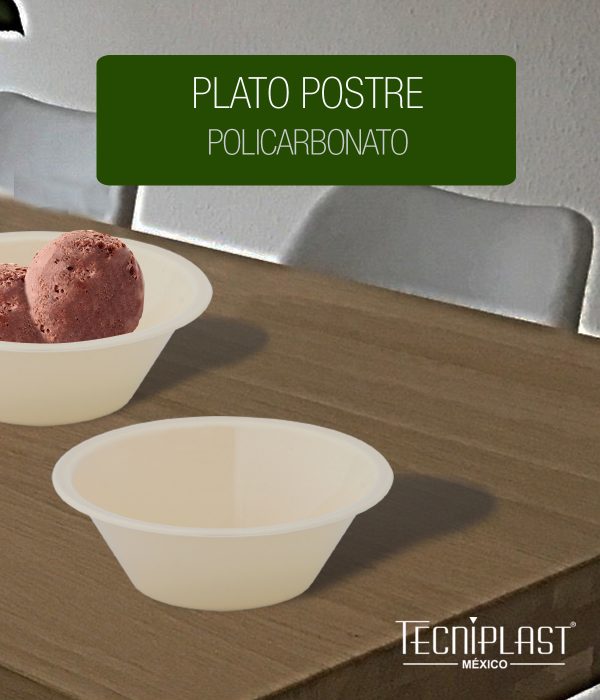 Plato postre de policarbonato plástico reutilizable de 250 ml 8.5 oz
