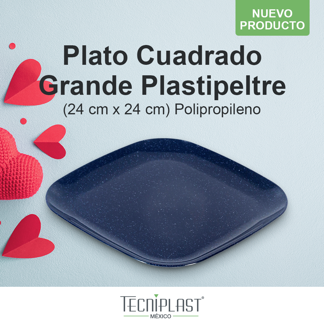 Plato cuadrado plastipeltre de plástico polipropileno PP 1716 foto 1