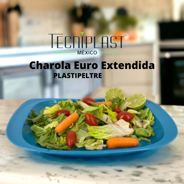 Charola Euro extendida Plastipeltre Polipropileno Plástico PP 1711 foto 4