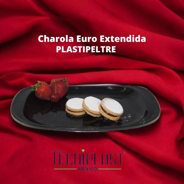 Charola Euro extendida Plastipeltre Polipropileno Plástico PP 1711 foto 3
