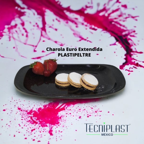 Charola Euro extendida Plastipeltre Polipropileno Plástico PP 1711 foto 2