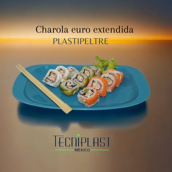 Charola Euro extendida Plastipeltre Polipropileno Plástico PP 1711 foto 1