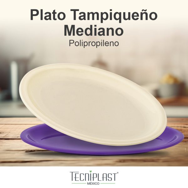 Plato Tampiqueño Mediano de Polipropileno Plástico PP 1274 foto 2