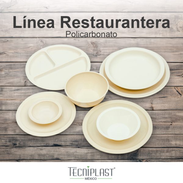 Plato cerealero chico de policarbonato plástico foto 4