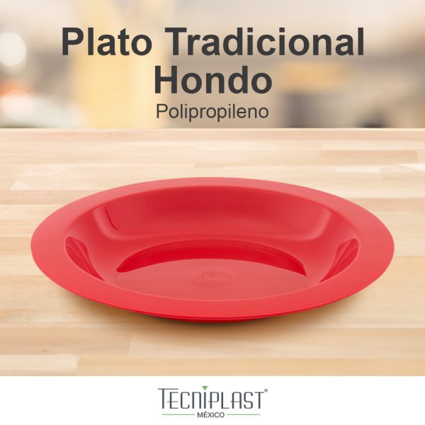 Plato tradicional hondo de polipropileno plastico PP 1210 foto 3
