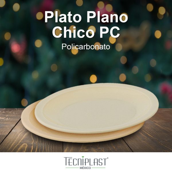 Plato plano chico de plástico policarbonato 1805 foto 1