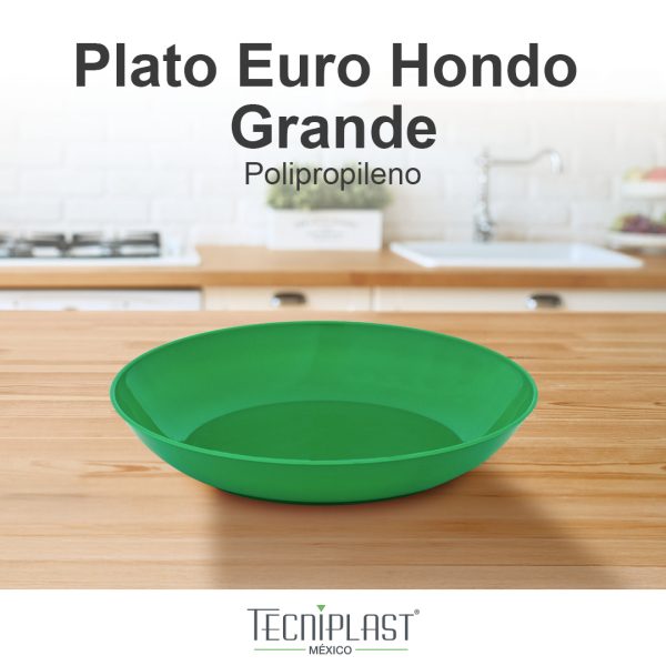 Plato Euro Hondo Grande de Polipropileno Plástico PP 1208 foto 2