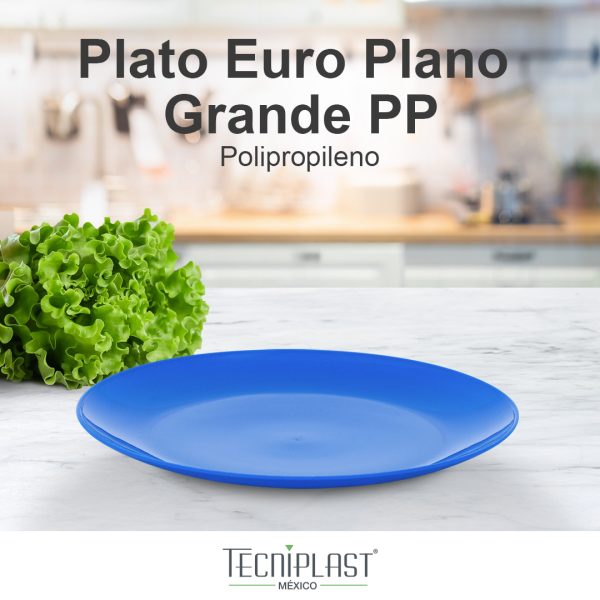 Plato Euro Plano Grande de Polipropileno Plástico PP 1218 foto 1