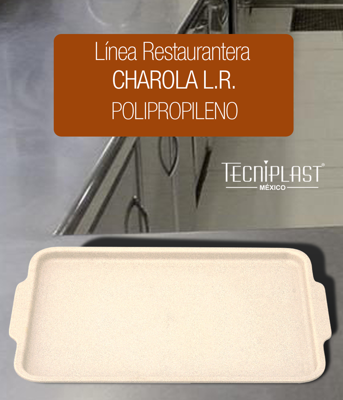 Charola L. R. Color de Polipropileno Plástico PP 1325 foto 1