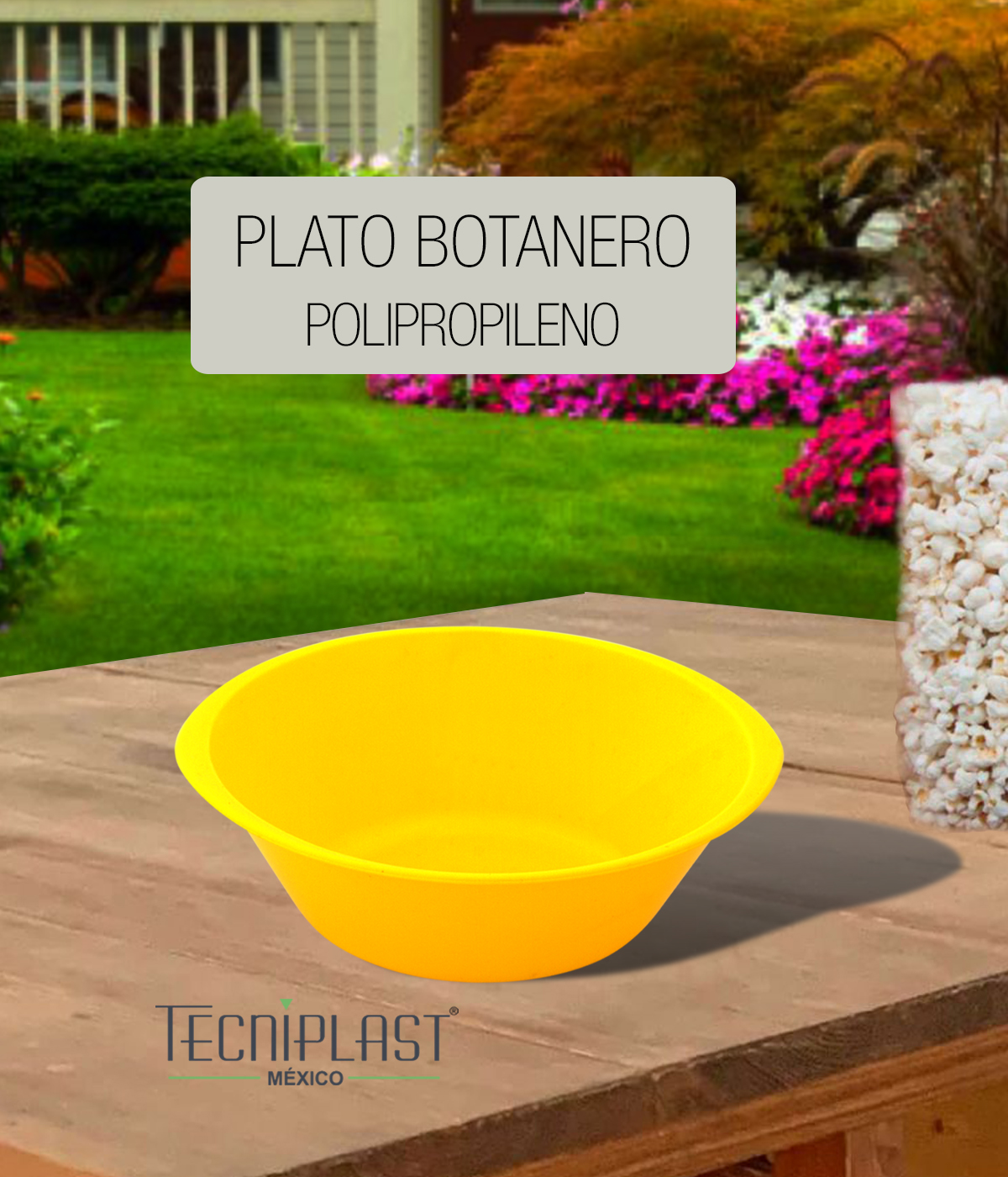 Plato botanero policarbonato plástico PP 1244 foto 4