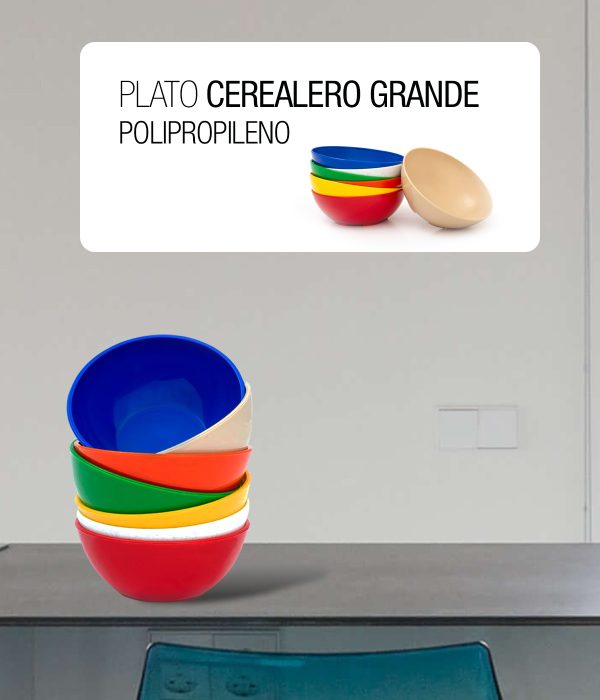 Plato cerealero grande de polipropileno plástico PP 1427 foto 2
