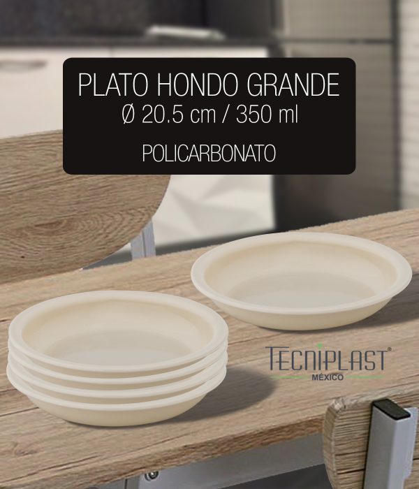 Plato hondo grande de polipropileno plástico foto varios