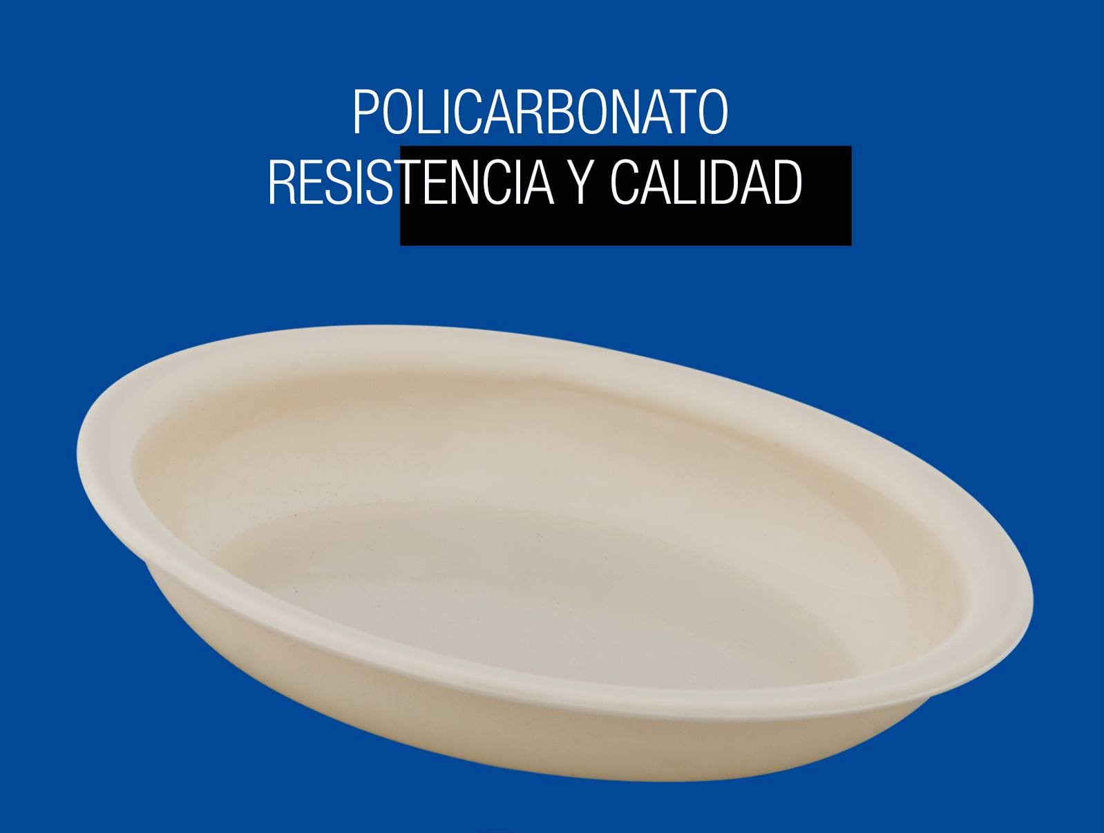 Plato Plano Extra Grande de Polipropileno Plástico PP 1293 foto 2