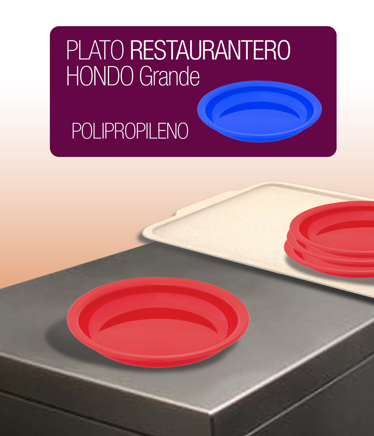 Plato Plano Extra Grande de Polipropileno Plástico PP 1293 foto 1