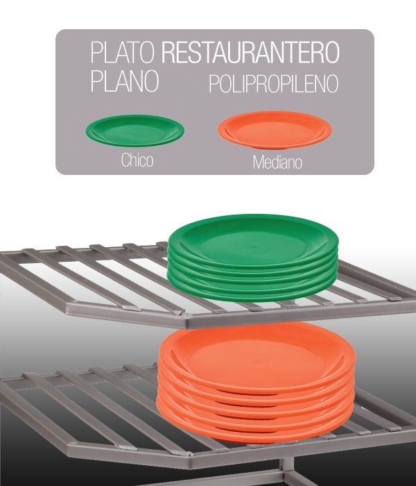 Plato plano chico de polipropileno plástico PP 1287 foto 1