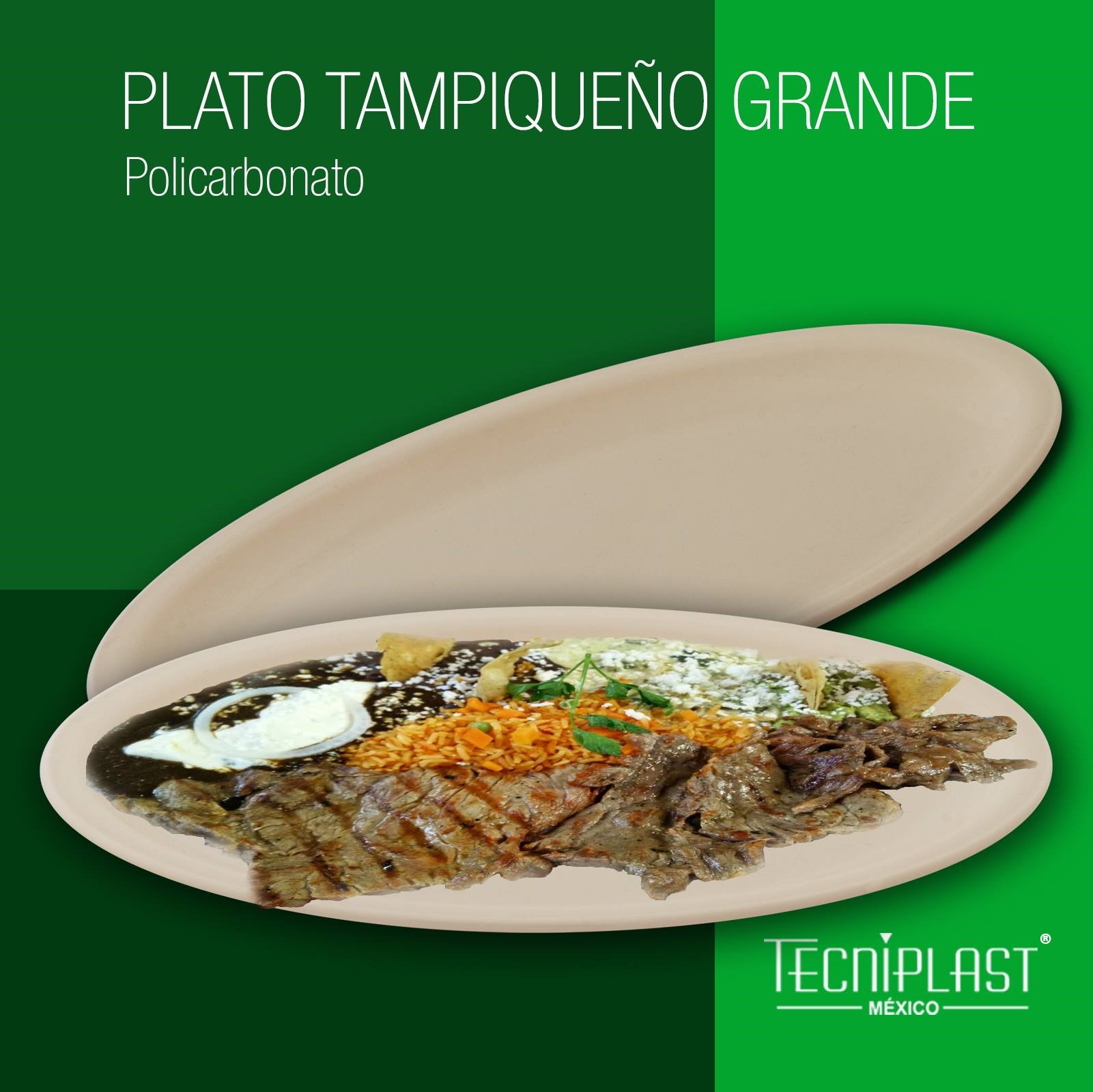 Plato tampiqueño grande de policarbonato plato de plástico