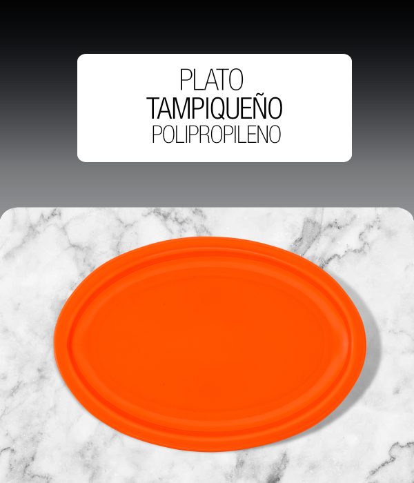 Plato Tampiqueño Tradicional de Polipropileno plástico PP 1280 foto 1