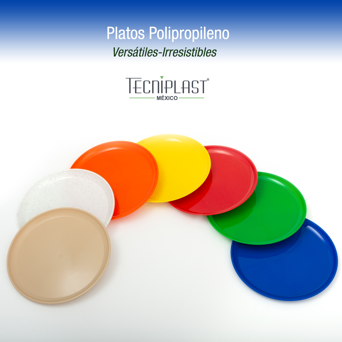 Plato taquero de polipropileno plástico PP 1250 foto 2