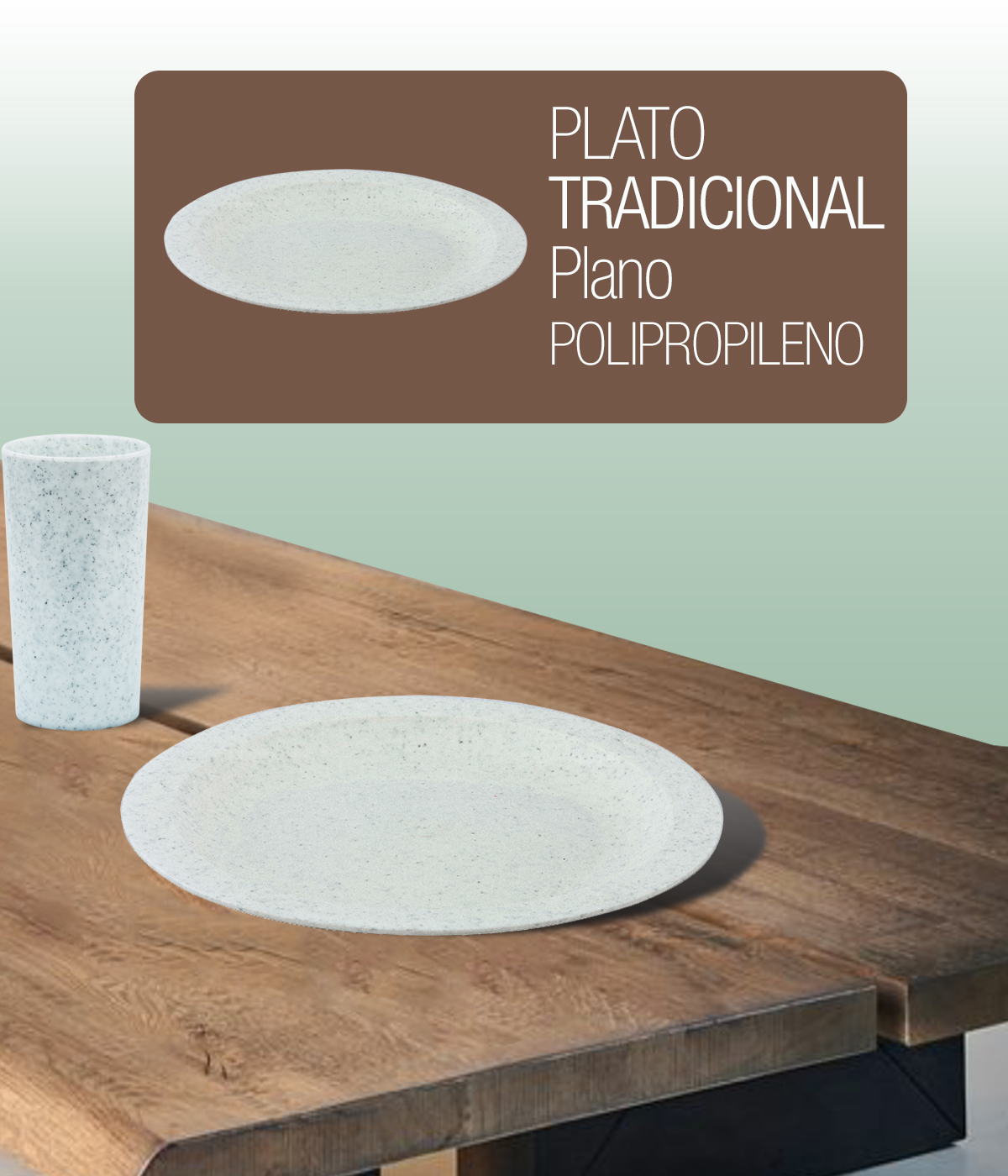 Plato tradicional plano polipropileno plástico PP 1220 foto 1