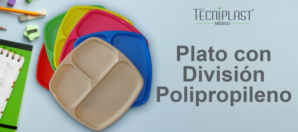 08 - plato con division de polipropileno