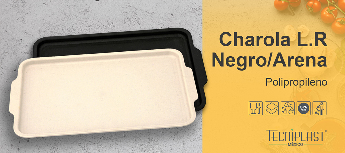 slider_portada_charola_LR_negro_arena12