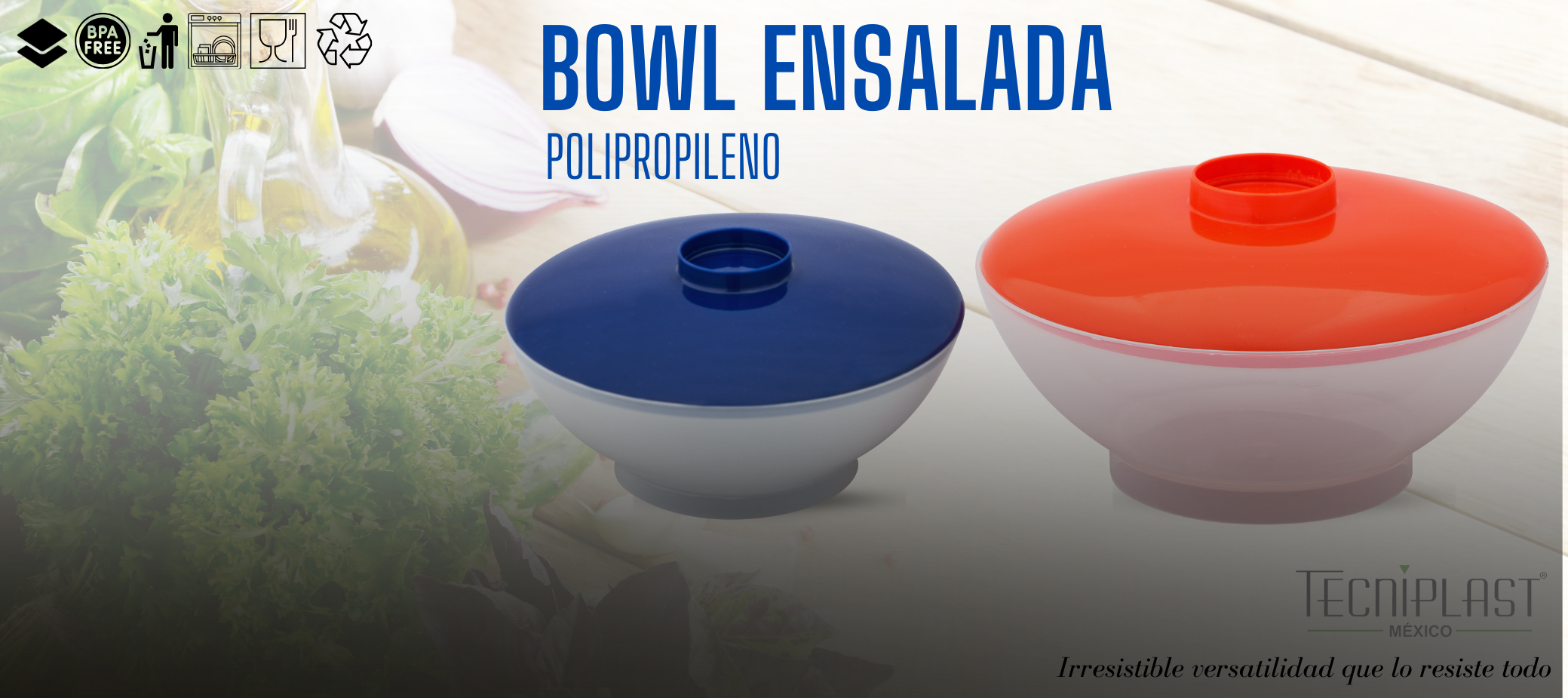BOWL ESNALADA POLIPROPILENO