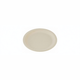 Plato plano grande de plástico policarbonato 22.6 cm 1807